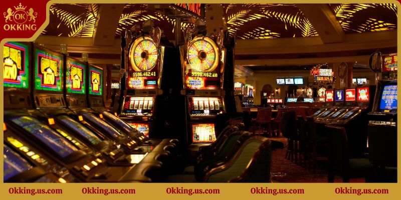 Cách chơi rồng hổ và những ưu điểm nổi bật