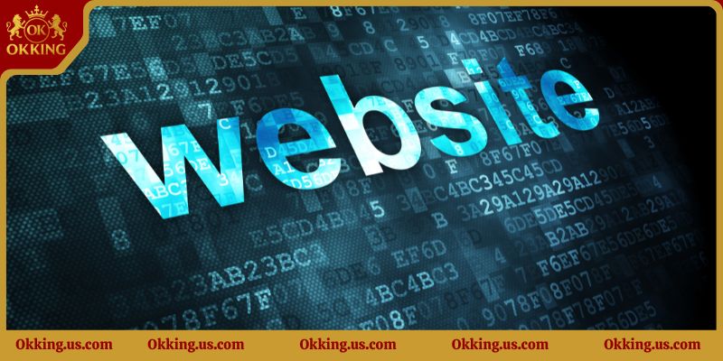 Vấn đề chặn truy cập tại Việt Nam